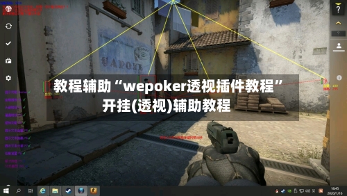 教程辅助“wepoker透视插件教程”开挂(透视)辅助教程-第3张图片