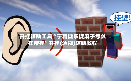 开挂辅助工具“宁夏微乐捉麻子怎么样带挂”开挂(透视)辅助教程-第2张图片