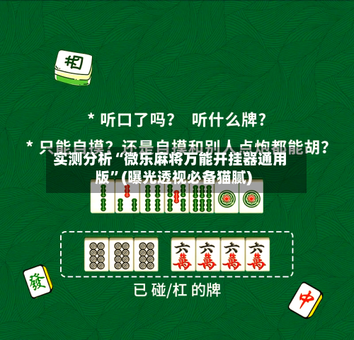 实测分析“微乐麻将万能开挂器通用版	”(曝光透视必备猫腻)-第2张图片