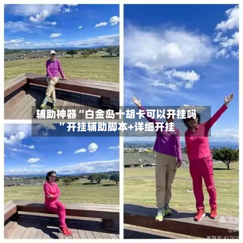 辅助神器“白金岛十胡卡可以开挂吗”开挂辅助脚本+详细开挂-第3张图片