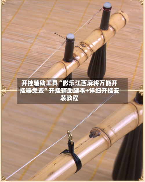 开挂辅助工具“微乐江西麻将万能开挂器免费	”开挂辅助脚本+详细开挂安装教程-第2张图片