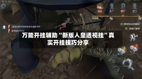 万能开挂辅助“新版人皇透视挂”真实开挂技巧分享-第3张图片