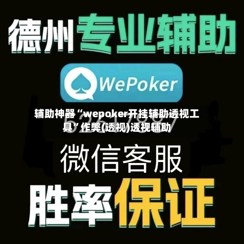 辅助神器“wepoker开挂辅助透视工具”作弊(透视)透视辅助-第1张图片