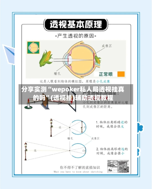 分享实测“wepoker私人局透视挂真的吗”(透视挂)辅助透视教程-第1张图片