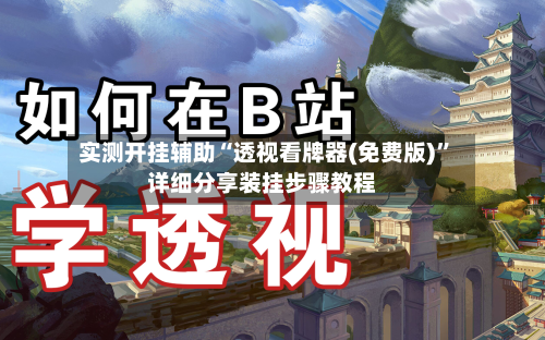 实测开挂辅助“透视看牌器(免费版)”详细分享装挂步骤教程-第3张图片