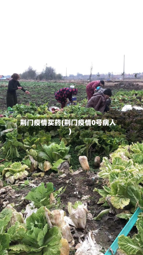 荆门疫情买药(荆门疫情0号病人)-第2张图片