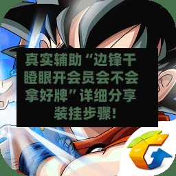 真实辅助“边锋干瞪眼开会员会不会拿好牌”详细分享装挂步骤!-第2张图片