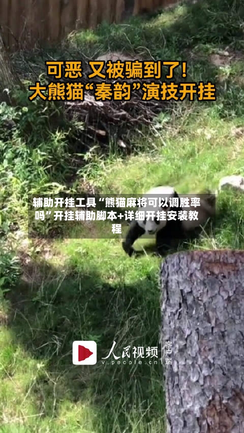 辅助开挂工具“熊猫麻将可以调胜率吗”开挂辅助脚本+详细开挂安装教程-第3张图片