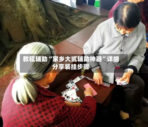 教程辅助“家乡大贰辅助神器	”详细分享装挂步骤-第2张图片