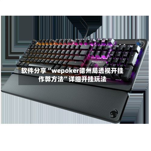 软件分享“wepoker德州局透视开挂作弊方法	”详细开挂玩法-第1张图片