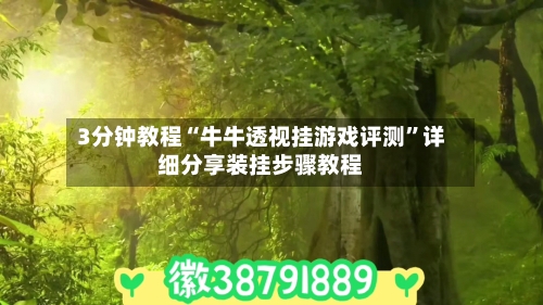 3分钟教程“牛牛透视挂游戏评测”详细分享装挂步骤教程-第3张图片