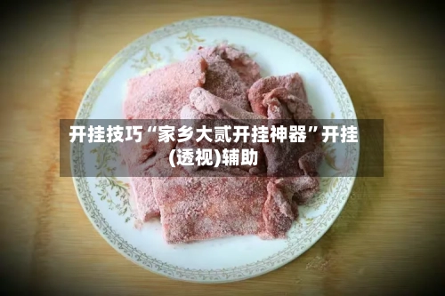 开挂技巧“家乡大贰开挂神器”开挂(透视)辅助-第3张图片