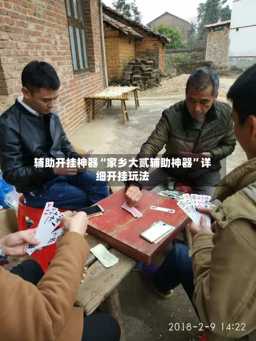 辅助开挂神器“家乡大贰辅助神器	”详细开挂玩法-第2张图片