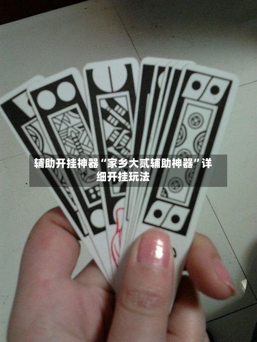 辅助开挂神器“家乡大贰辅助神器”详细开挂玩法-第1张图片