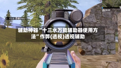 辅助神器“十三水万能辅助器使用方法”作弊(透视)透视辅助-第3张图片