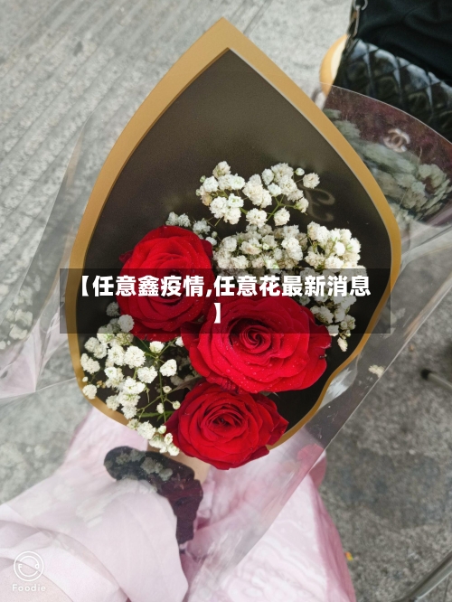 【任意鑫疫情,任意花最新消息】-第2张图片