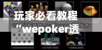 玩家必看教程“wepoker透视挂辅助器”(曝光透视必备猫腻)-第2张图片