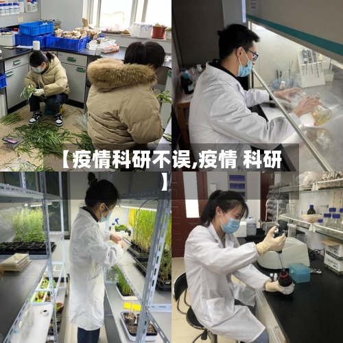 【疫情科研不误,疫情 科研】-第3张图片