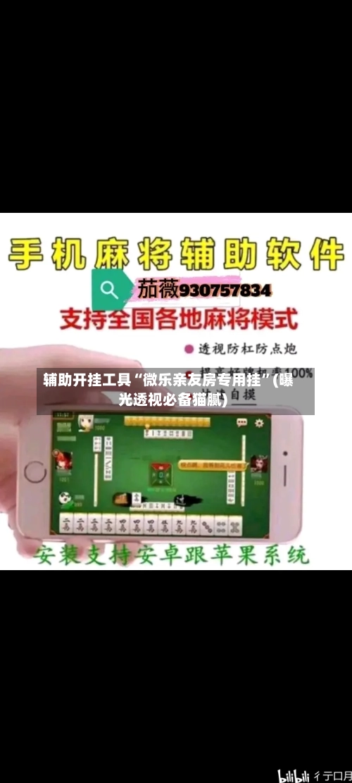 辅助开挂工具“微乐亲友房专用挂”(曝光透视必备猫腻)-第2张图片