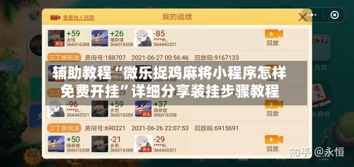 辅助教程“微乐捉鸡麻将小程序怎样免费开挂”详细分享装挂步骤教程-第2张图片