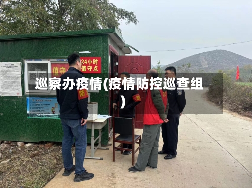 巡察办疫情(疫情防控巡查组)-第2张图片
