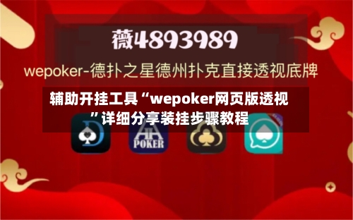 辅助开挂工具“wepoker网页版透视”详细分享装挂步骤教程-第2张图片