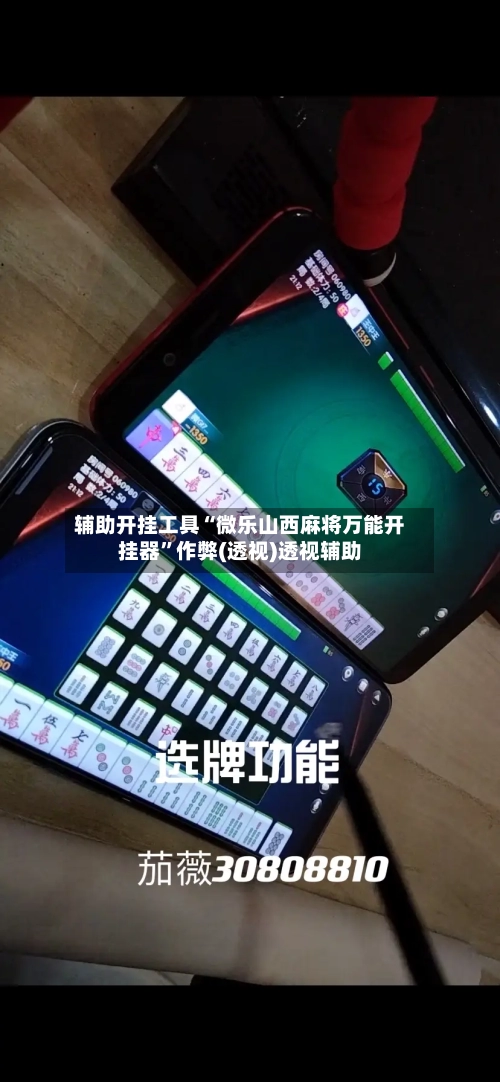 辅助开挂工具“微乐山西麻将万能开挂器”作弊(透视)透视辅助-第1张图片
