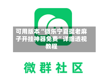 可用版本“微乐宁夏捉老麻子开挂神器免费”详细透视教程-第3张图片