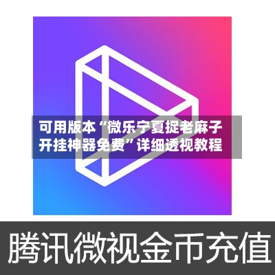 可用版本“微乐宁夏捉老麻子开挂神器免费”详细透视教程-第2张图片