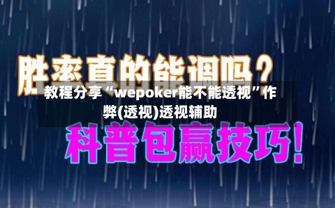 教程分享“wepoker能不能透视”作弊(透视)透视辅助-第3张图片
