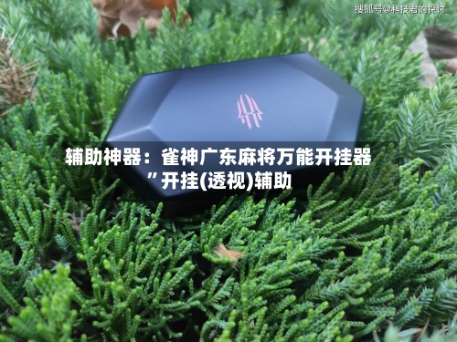 辅助神器：雀神广东麻将万能开挂器	”开挂(透视)辅助-第1张图片