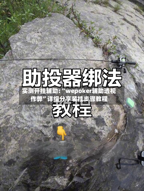 实测开挂辅助:“wepoker辅助透视作弊”详细分享装挂步骤教程-第1张图片