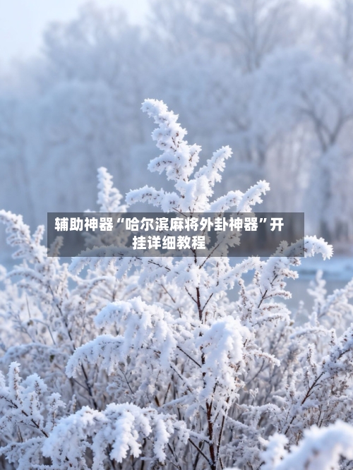 辅助神器“哈尔滨麻将外卦神器	”开挂详细教程-第2张图片