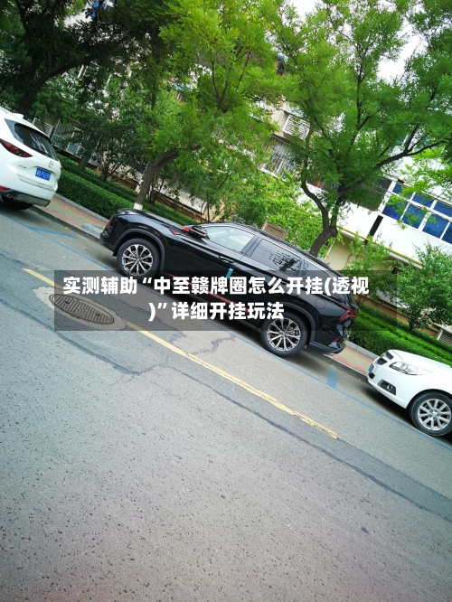 实测辅助“中至赣牌圈怎么开挂(透视)”详细开挂玩法-第1张图片