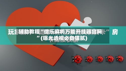 辅助教程“微乐麻将万能开挂器官网	”(曝光透视必备猫腻)-第1张图片