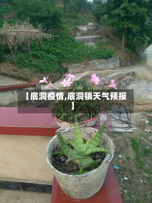 【底洞疫情,底洞镇天气预报】-第1张图片