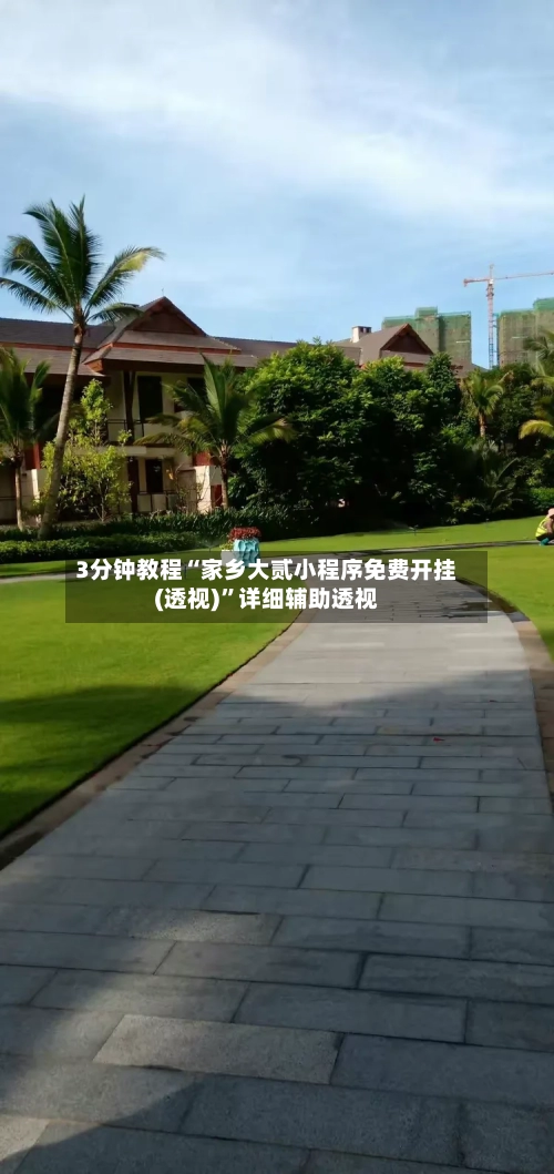 3分钟教程“家乡大贰小程序免费开挂(透视)	”详细辅助透视-第1张图片