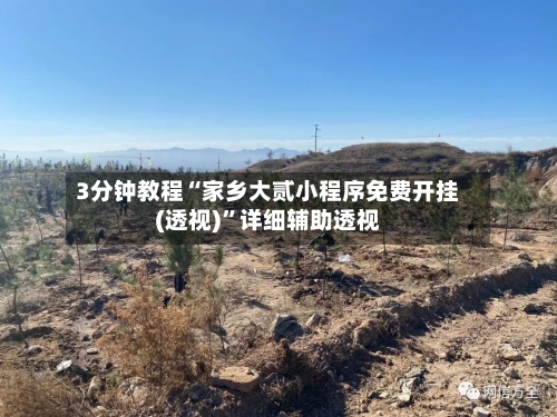 3分钟教程“家乡大贰小程序免费开挂(透视)”详细辅助透视-第2张图片