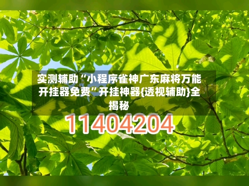 实测辅助“小程序雀神广东麻将万能开挂器免费	”开挂神器{透视辅助}全揭秘-第2张图片