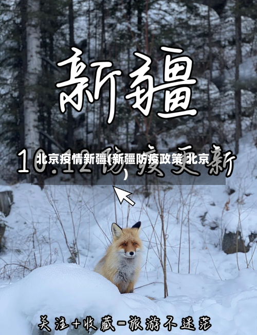北京疫情新疆(新疆防疫政策 北京)-第1张图片