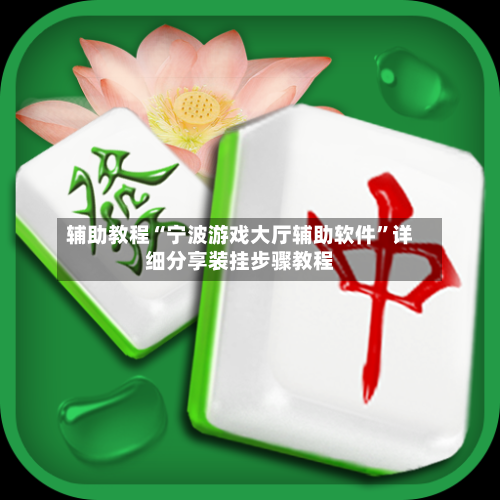 辅助教程“宁波游戏大厅辅助软件	”详细分享装挂步骤教程-第2张图片