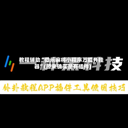 教程辅助“微乐麻将小程序万能开挂器”(原来确实是有插件)-第3张图片