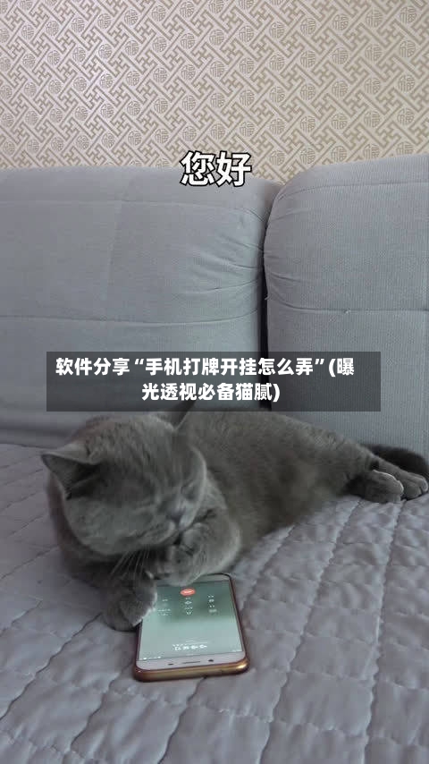 软件分享“手机打牌开挂怎么弄	”(曝光透视必备猫腻)-第2张图片