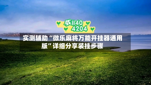 实测辅助“微乐麻将万能开挂器通用版	”详细分享装挂步骤-第3张图片