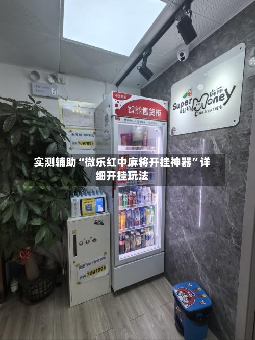 实测辅助“微乐红中麻将开挂神器”详细开挂玩法-第3张图片