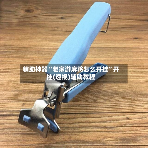 辅助神器“老家游麻将怎么开挂”开挂(透视)辅助教程-第1张图片