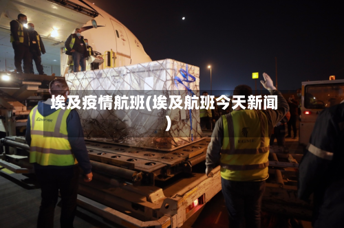 埃及疫情航班(埃及航班今天新闻)-第1张图片