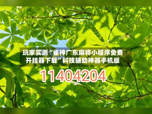 玩家实测“雀神广东麻将小程序免费开挂器下载	”科技辅助神器手机版-第1张图片