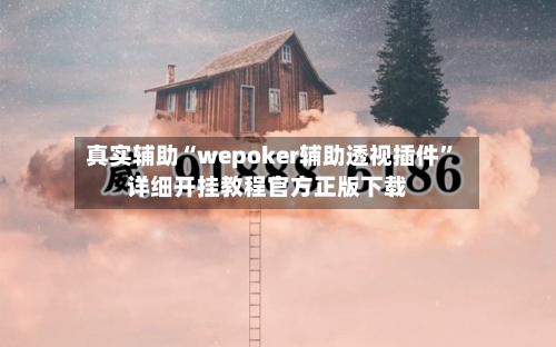 真实辅助“wepoker辅助透视插件”详细开挂教程官方正版下载-第1张图片