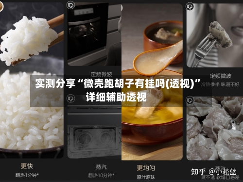 实测分享“微壳跑胡子有挂吗(透视)”详细辅助透视-第1张图片